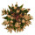 ARIOCARPUS agavoides ssp. sanluisensis VM 804, San Ysidro, illustrative photo