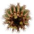  - UEBELMANNIA pectinifera var. pseudopectinifera RNK 36, 5 seeds
