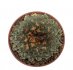 - ARIOCARPUS kotschoubeyanus var. albiflorus 