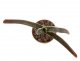  - ALOE cv. Grassie Lassie