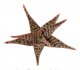  - ALOE cv. Pink Glow
