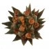  - ARIOCARPUS trigonus var. horacekii