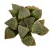  - HAWORTHIA cv. Toku Keba