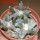 ARIOCARPUS retusus SB 68, Coronel, SLP., 3 pcs, SEEDLINGS