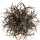 COPIAPOA griseoviolacea, illustrative photo