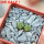 AZTEKIUM valdezii GCG 10893, 1 pot 5 cm, 2 pcs., SEEDLINGS  