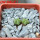 AZTEKIUM valdezii GCG 10893, 1 pot 5 cm, 2 pcs., SEEDLINGS  