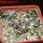 UEBELMANNIA buiningii f. green RNK 55, Tromba d´Anta, 5 cm pots, 4 pcs., SEEDLINGS !!!