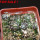 UEBELMANNIA buiningii f. green RNK 55, Tromba d´Anta, 5 cm pots, 7 pcs., SEEDLINGS !!!