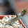PSEUDOLITHOS dodsonianus, 6 cm pot, rooted offset