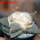 ARIOCARPUS furfuraceus var. rostratus Cassa Blanca ex Pavlík, 8 cm pot, SEEDLING