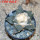 ARIOCARPUS furfuraceus var. rostratus Cassa Blanca ex Pavlík, 8 cm pot, SEEDLING
