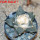 ARIOCARPUS furfuraceus var. rostratus Cassa Blanca ex Pavlík, 8 cm pot, SEEDLING