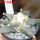 ARIOCARPUS furfuraceus var. rostratus Cassa Blanca ex Pavlík, 8 cm pot, SEEDLING