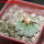 AZTEKIUM ritteri, 1 pcs. 2,2 cm + SEEDS, one 5 cm pot, SEEDLING