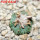 AZTEKIUM ritteri, 1 pcs. 2 cm + SEEDS, one 5 cm pot, SEEDLING