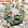 AZTEKIUM ritteri, 1 pcs. 2 cm + SEEDS, one 5 cm pot, SEEDLING