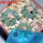 AZTEKIUM ritteri, 3 pcs., 1,6 - 2 cm, + SEEDS, one 5 cm pot, SEEDLINGS