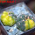 GYMNOCALYCIUM spegazzinii var. unguispinum SL 44b x vatteri f. unguispinum f. variegate 