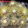 UEBELMANNIA pectinifera aff. f. nova RNK 90, 9 pcs., one 6,5 cm pot, SEEDLINGS
