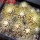 UEBELMANNIA pectinifera aff. f. nova RNK 90, 9 pcs., one 6,5 cm pot, SEEDLINGS