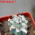 ORTEGOCACTUS macdougallii cv. Emil, 6 cm pot, grafted offset