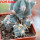 ECHINOCACTUS horizonthalonius var. diabolicus GCG 13236, 4 pcs., 5 cm pot, SEEDLINGS