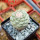 STROMBOCACTUS disciformis, 6,5 cm pot, 3,7 cm, SEEDLING