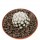 MAMMILLARIA gracilis cv. Oruga