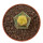AZTEKIUM VALDEZII F. AUREA SPIRALIS GCG 10893