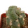 LOPHOPHORA alberto-vojtechii f. cristata, illustrative photo