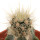 ECHINOCEREUS lindsayi f. yellow spines, grafted 