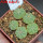 AZTEKIUM ritteri f. rotundum GCG 10005, El Barreal, 5 pcs., one pot, for sale