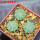 AZTEKIUM ritteri, 3 pcs., one pot, for sale