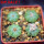 AZTEKIUM ritteri, 4 pcs., one pot, for sale