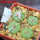 AZTEKIUM ritteri, 4 pcs., one pot, for sale