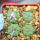 AZTEKIUM ritteri, 4 pcs., one pot, for sale