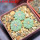 AZTEKIUM ritteri, 3 pcs., one pot, for sale
