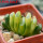 HAWORTHIA truncata f. variegata, pot 5 cm, for sale