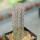 EUPHORBIA abdelkuri, rooted offset, one plant, for sale