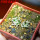 MAMMILLARIA bertholdii GCG 10006, one pot, two SEEDLINGS, for sale