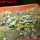 MAMMILLARIA bertholdii GCG 10006, one pot, two SEEDLINGS, for sale