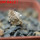 PSEUDOLITHOS mccoyi, own roots, rooted offset, 5 cm pot, 1 plant, one pot