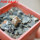 PSEUDOLITHOS mccoyi, own roots, rooted offset, 5 cm pot, 1 plant, one pot