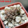PSEUDOLITHOS mccoyi, own roots, rooted offset, 5 cm pot, 1 plant, one pot