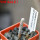 TURBINICARPUS heliae GCG 10915, S of Actopan, Hgo., 1 plant, 5 cm pot