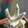 ASTROPHYTUM caput-medusae x ASTROPHYTUM myriostigma cv. Onzuko, F1, grafted