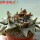 ARIOCARPUS retusus SB 68, Coronel, SLP., 1 plant + seeds, 7,5 cm