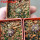 UEBELMANNIA buiningii f. green RNK 55, Tromba d´Anta, 5 cm pots, 3 pcs., SEEDLINGS !!!
